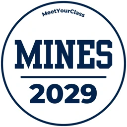 mines2029meet avatar